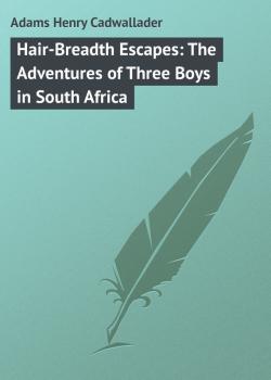 Читать Hair-Breadth Escapes: The Adventures of Three Boys in South Africa - Adams Henry Cadwallader