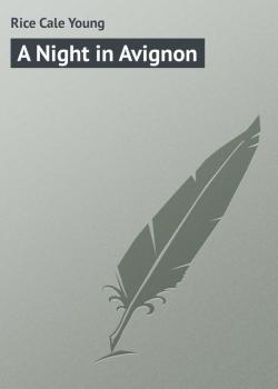 Читать A Night in Avignon - Rice Cale Young
