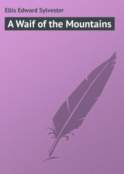 Читать A Waif of the Mountains - Ellis Edward Sylvester