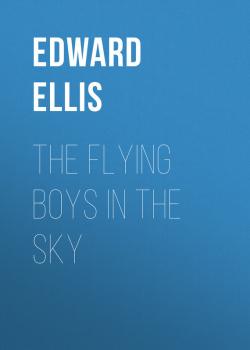 Читать The Flying Boys in the Sky - Ellis Edward Sylvester