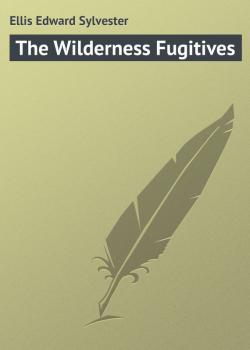 Читать The Wilderness Fugitives - Ellis Edward Sylvester