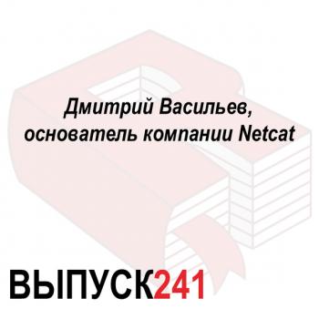 Читать Дмитрий Васильев, основатель компании Netcat - Максим Спиридонов