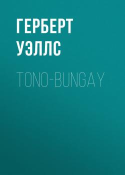 Читать Tono-Bungay - Герберт Уэллс