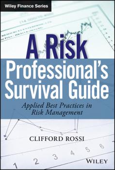 Читать A Risk Professional's Survival Guide - Rossi Clifford
