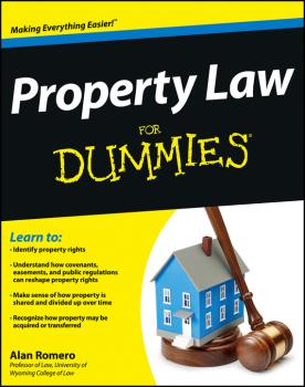 Читать Property Law For Dummies - Alan Romero R.