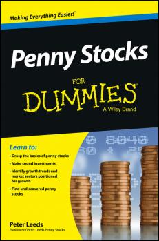 Читать Penny Stocks For Dummies - Peter  Leeds