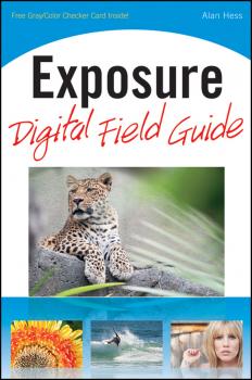 Читать Exposure Digital Field Guide - Alan  Hess