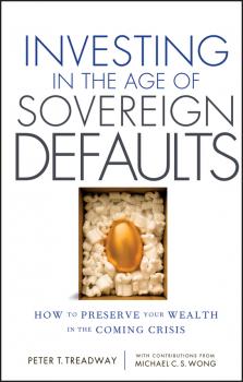 Читать Investing in the Age of Sovereign Defaults. How to Preserve your Wealth in the Coming Crisis - Peter Treadway T.