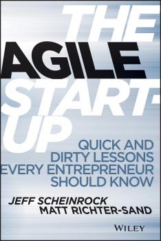 Читать The Agile Startup. Quick and Dirty Lessons Every Entrepreneur Should Know - Jeff  Scheinrock