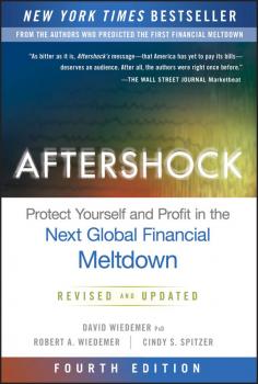 Читать Aftershock. Protect Yourself and Profit in the Next Global Financial Meltdown - David  Wiedemer