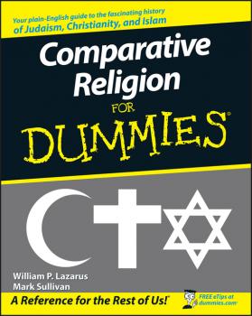 Читать Comparative Religion For Dummies - Mark  Sullivan
