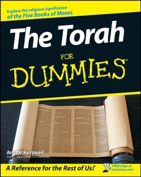 Читать The Torah For Dummies - Arthur  Kurzweil