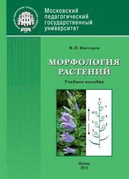 Читать Морфология растений - В. П. Викторов
