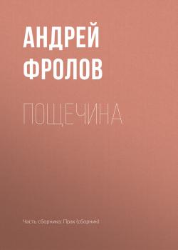 Читать Пощечина - Андрей Фролов