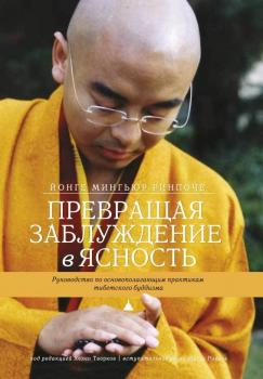 Читать Превращая заблуждение в ясность. Руководство по основополагающим практикам тибетского буддизма. - Йонге Мингьюр Ринпоче