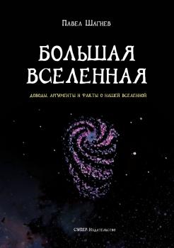 Читать Большая вселенная - Павел Шагиев