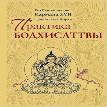 Читать Практика Бодхисаттвы - Тринле Тхае Дордже Кармапа XVII