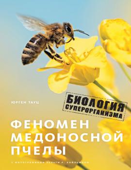 Читать Феномен медоносной пчелы. Биология суперорганизма - Юрген Тауц