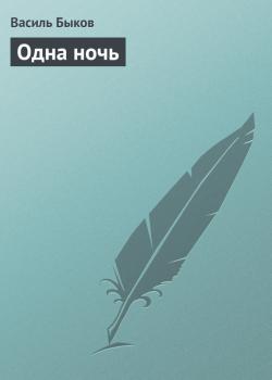 Читать Одна ночь - Василь Быков