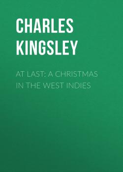 Читать At Last: A Christmas in the West Indies - Charles Kingsley