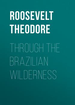 Читать Through the Brazilian Wilderness - Roosevelt Theodore