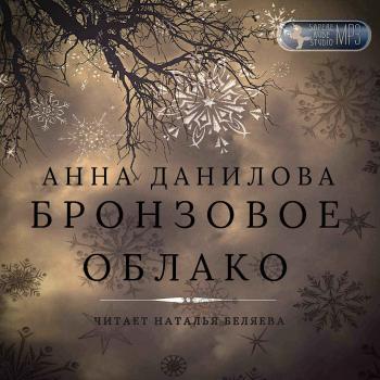 Читать Бронзовое облако - Анна Данилова