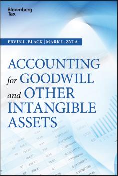 Читать Accounting for Goodwill and Other Intangible Assets - Mark Zyla L.