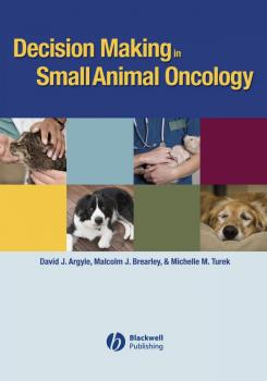 Читать Decision Making in Small Animal Oncology - Michelle Turek M.