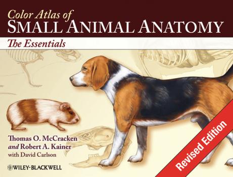 Читать Color Atlas of Small Animal Anatomy. The Essentials - David  Carlson