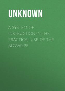 Читать A System of Instruction in the Practical Use of the Blowpipe - Unknown
