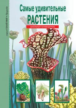 Читать Самые удивительные растения - Сергей Афонькин