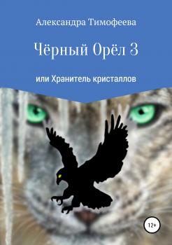 Читать Чёрный Орёл 3 или Хранитель кристаллов - Александра Сергеевна Тимофеева