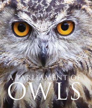 Читать A Parliament of Owls - David  Tipling