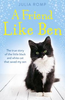 Читать A Friend Like Ben: The true story of the little black and white cat that saved my son - Julia Romp