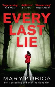 Читать Every Last Lie - Mary  Kubica