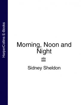 Читать Morning, Noon and Night - Сидни Шелдон