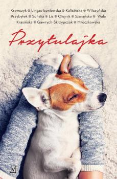Читать Przytulajka - Natalia Sońska