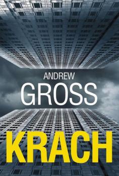 Читать Krach - Andrew  Gross