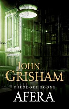 Читать Theodore Boone: Afera - Джон Гришэм