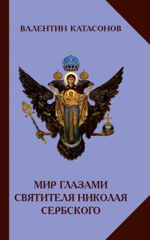 Читать Мир глазами святителя Николая Сербского - Валентин Катасонов