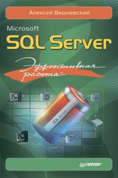 Читать Microsoft SQL Server. Эффективная работа - Алексей Вишневский