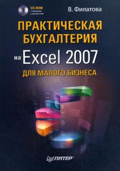 Читать Практическая бухгалтерия на Excel 2007 для малого бизнеса - Виолетта Филатова