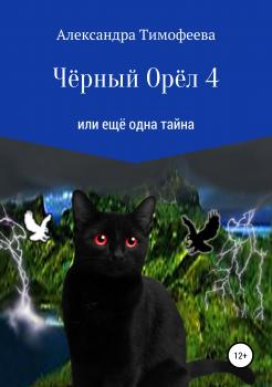 Читать Чёрный Орёл 4 или ещё одна тайна - Александра Сергеевна Тимофеева