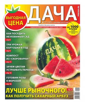 Читать Дача Pressa.ru 17-2019 - Редакция газеты Дача Pressa.ru