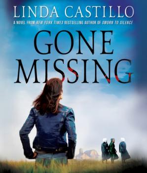 Читать Gone Missing - Linda  Castillo