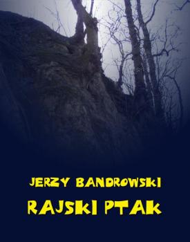 Читать Rajski ptak - Jerzy Bandrowski