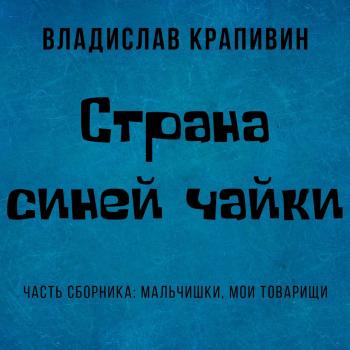 Читать Страна Синей Чайки - Владислав Крапивин