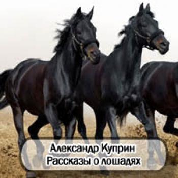 Читать Рассказы о лошадях - Александр Куприн