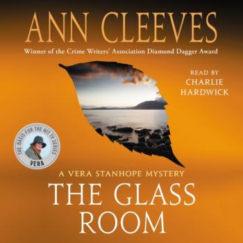 Читать Glass Room - Ann Cleeves