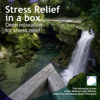 Читать Stress Relief In A Box - Annie Lawler